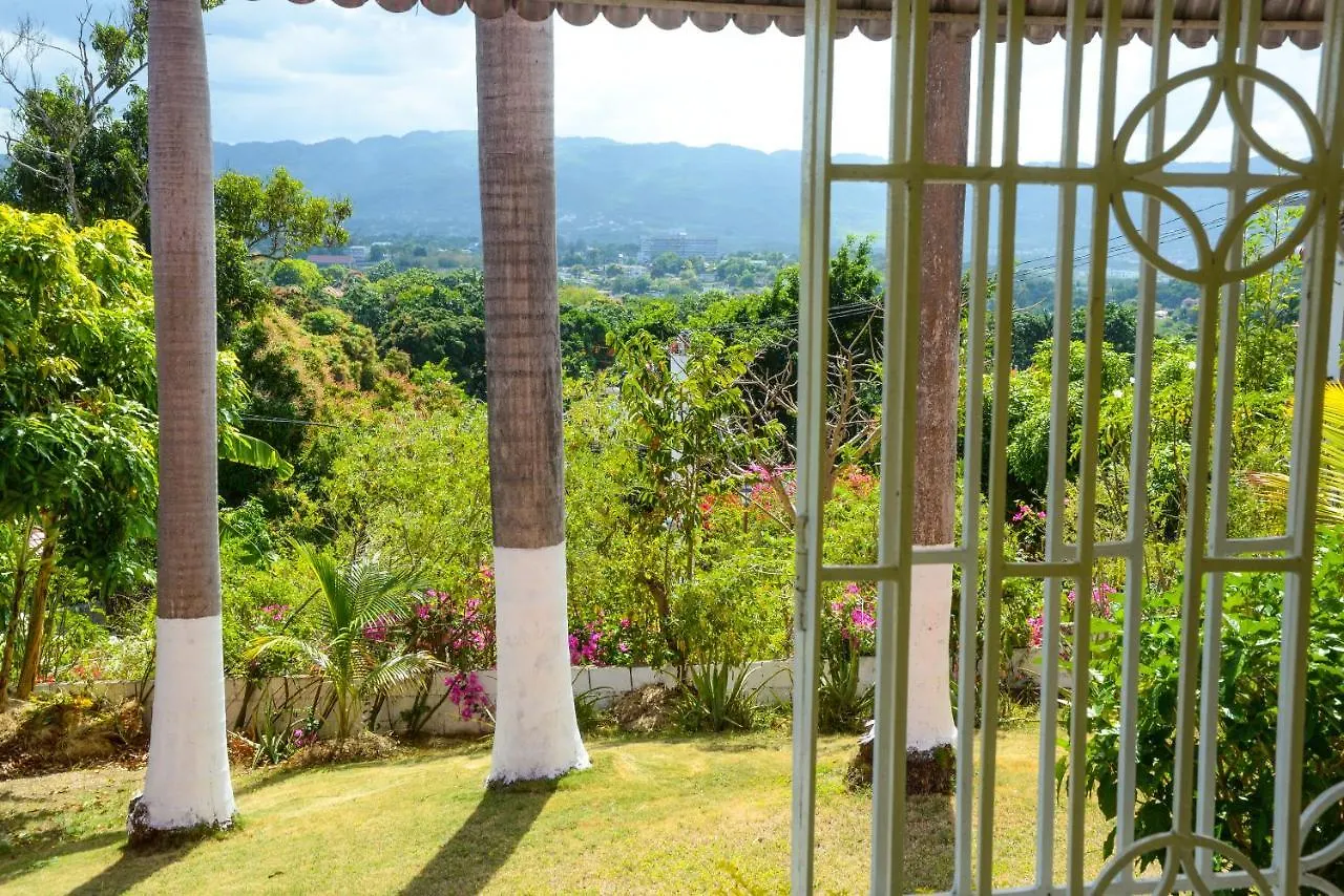 Three Palm Villa Montego Bay